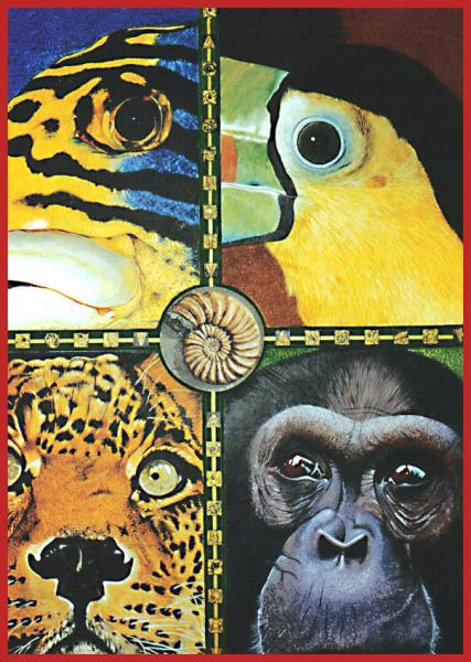 Animalia.(peinture sur bois) Eric Herregods